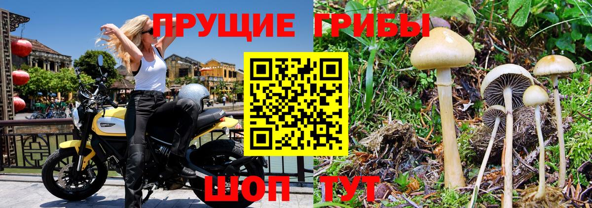 Галлюциногенные грибы прущие грибы Обнинск